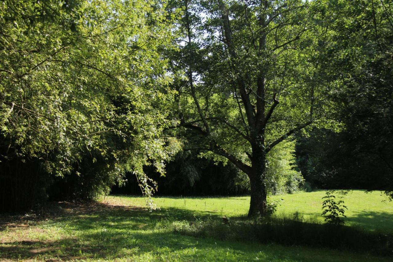 Au Petit Bernerot - Les Gites De L'Arbre Voyageur Eauze Εξωτερικό φωτογραφία